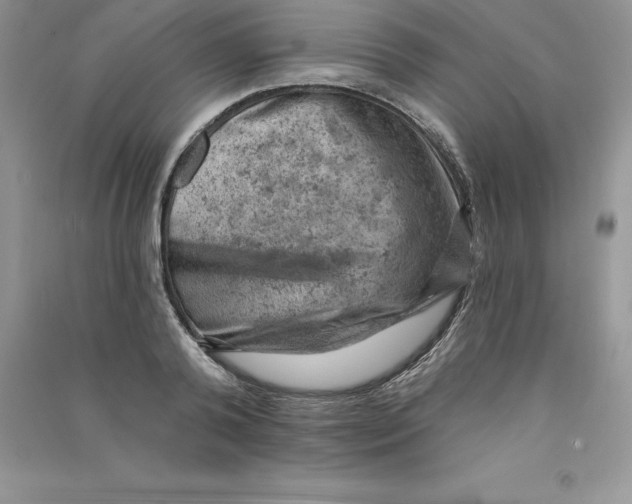 X0000090730792200708171946