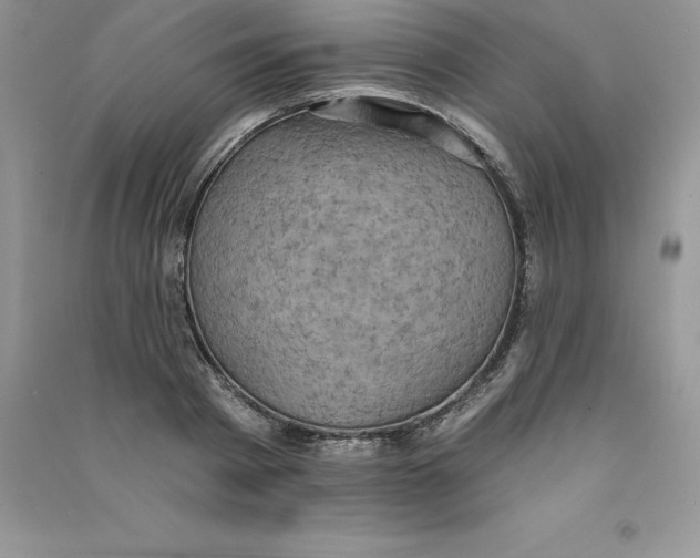 X0000090730793200708171946