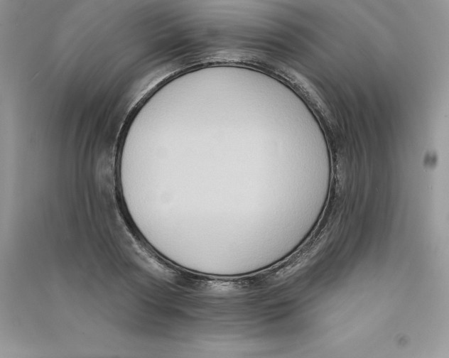 X0000090730794200708171946