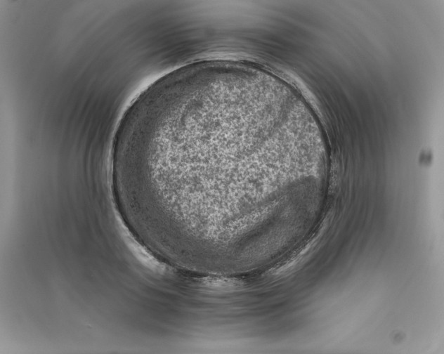 X0000090730795200708171946