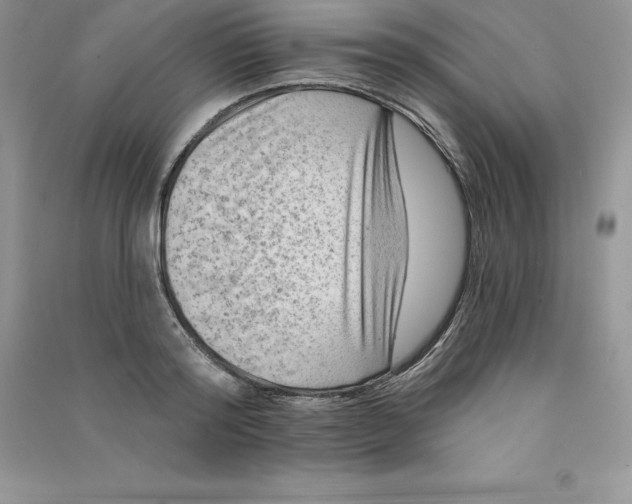 X0000090730796200708171946