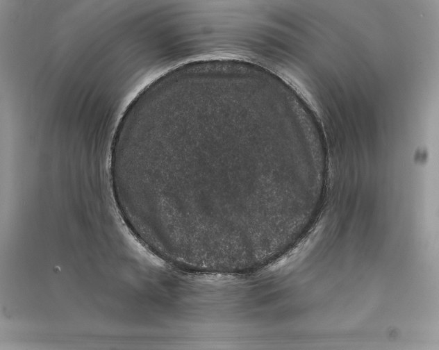 X0000090730797200708171946