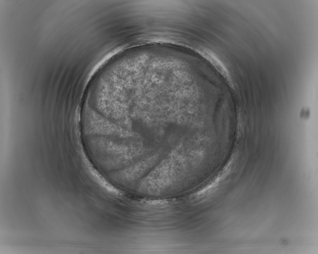 X0000090730798200708171946