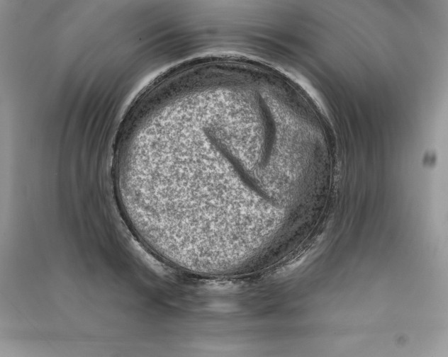 X0000090730799200708171946