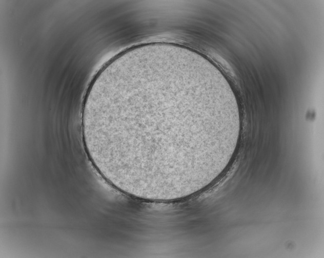 X0000090730800200708171946