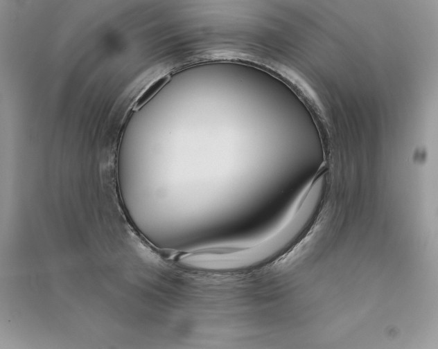 X0000090730801200708171946