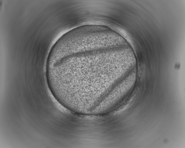 X0000090730803200708171946