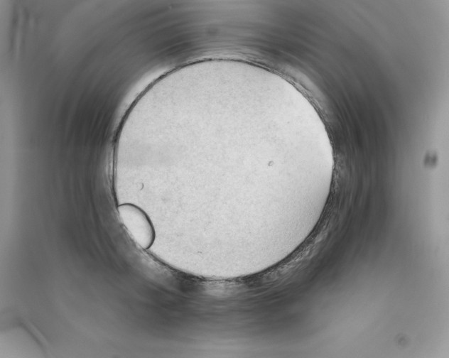 X0000090730804200708171946