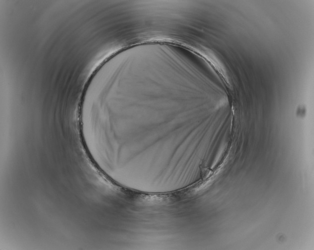 X0000090730806200708171946