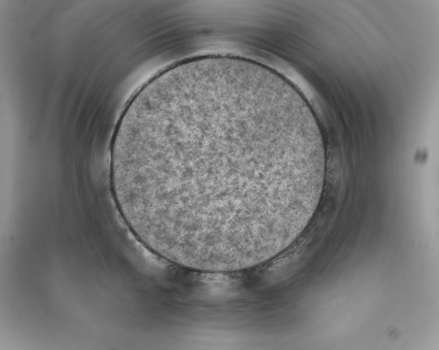 X0000090730807200708171946