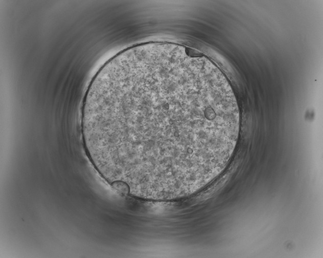 X0000090730808200708171946