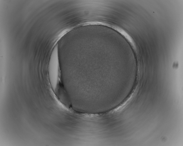 X0000090730809200708171946