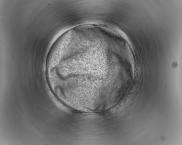 X0000090730811200708171946