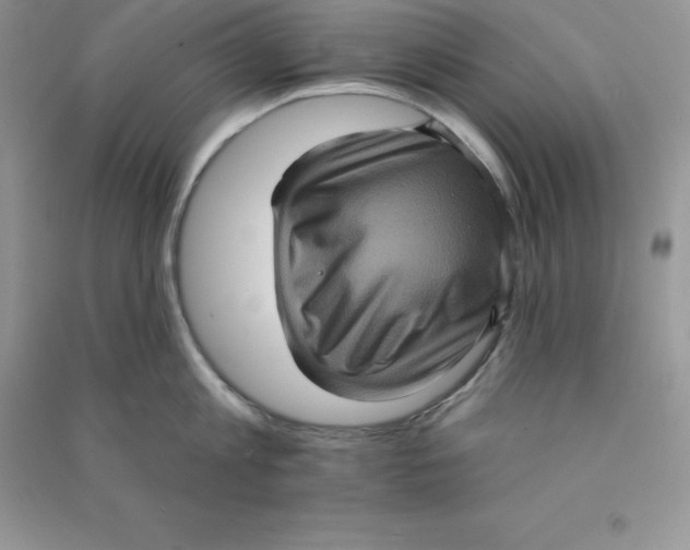 X0000090730813200708171946