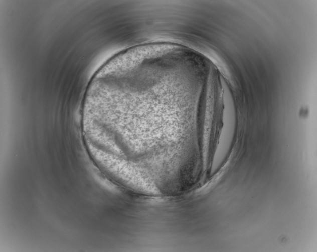 X0000090730814200708171946