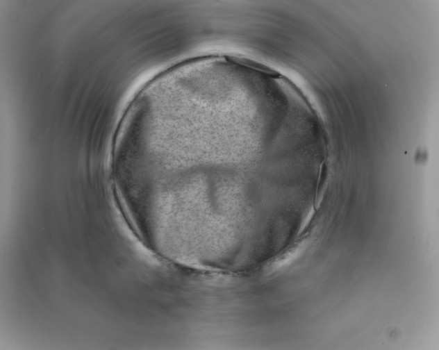 X0000090730815200708171946