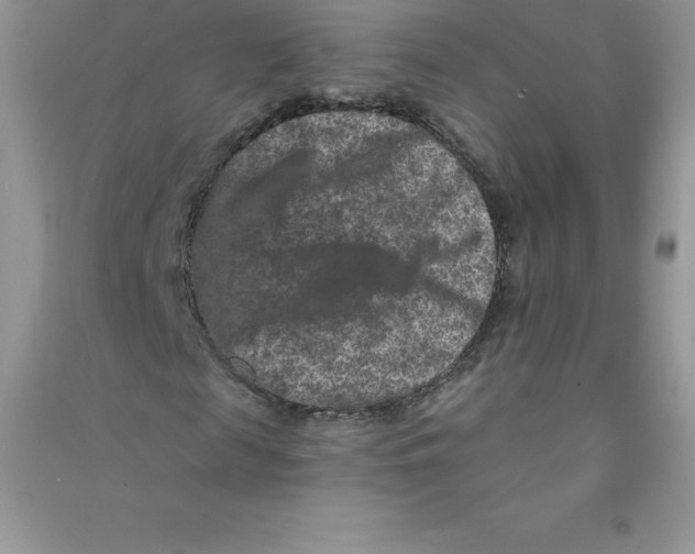 X0000090730817200708171945