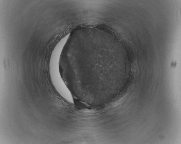 X0000090730818200708171945