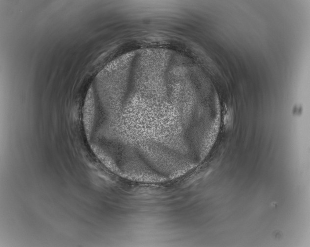 X0000090730819200708171945