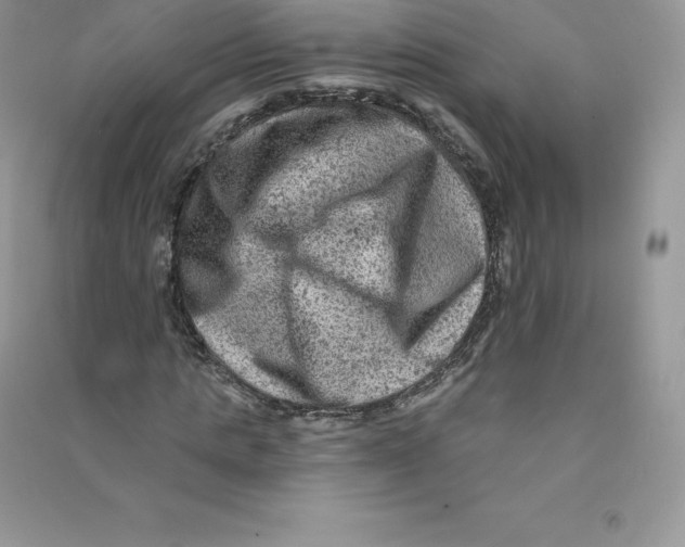 X0000090730821200708171945