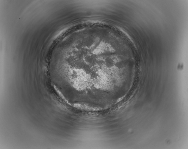 X0000090730823200708171945