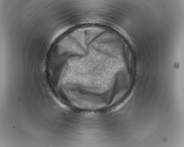 X0000090730826200708171945