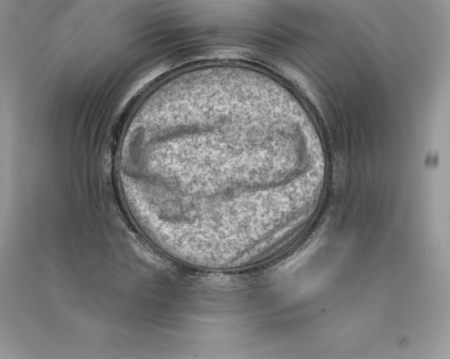 X0000090730827200708171945