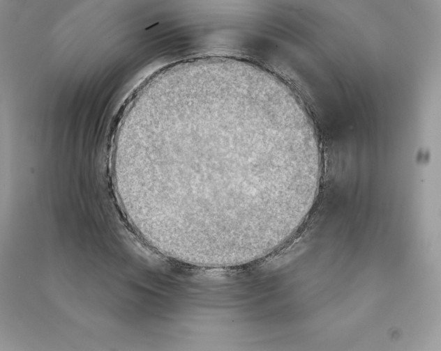 X0000090730828200708171945