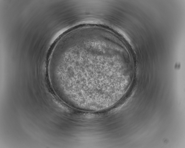 X0000090730829200708171945