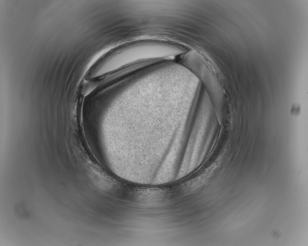 X0000090730830200708171945