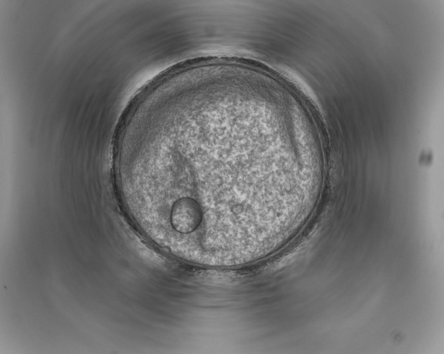 X0000090730831200708171945