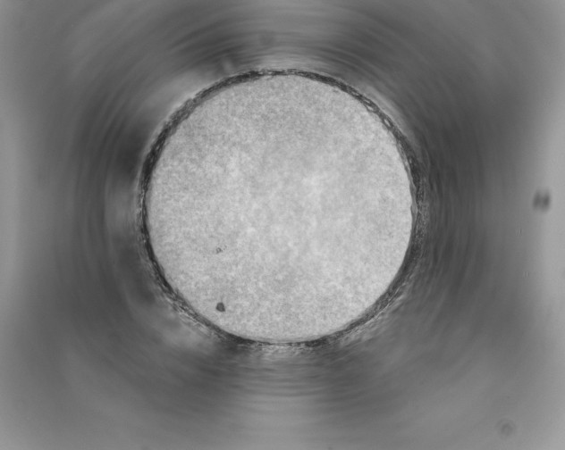 X0000090730832200708171945