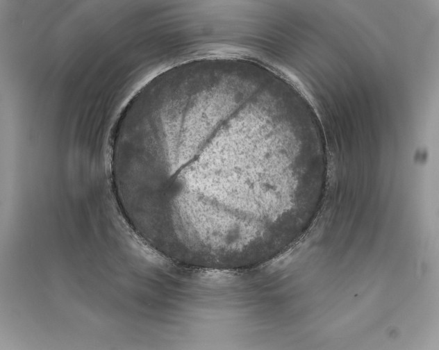 X0000090730835200708171946