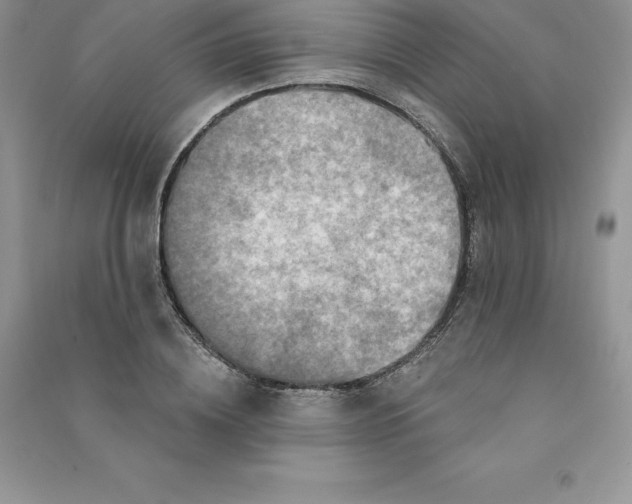 X0000090730836200708171946