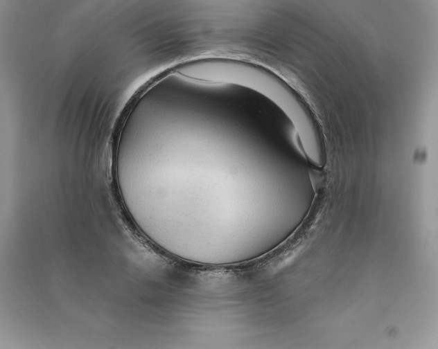 X0000090730838200708171946