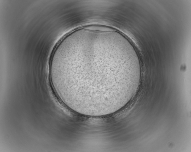 X0000090730840200708171946