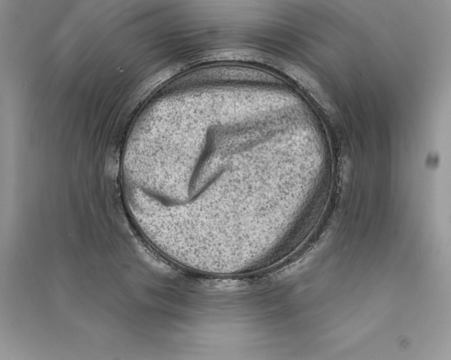 X0000090730841200708171946