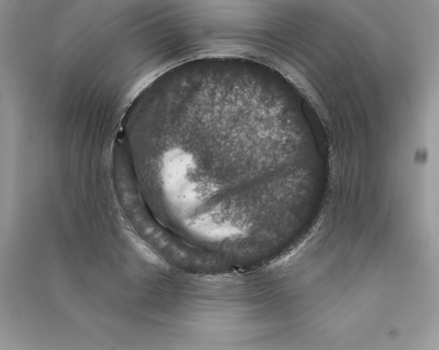 X0000090730842200708171946