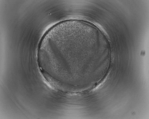 X0000090730846200708171946