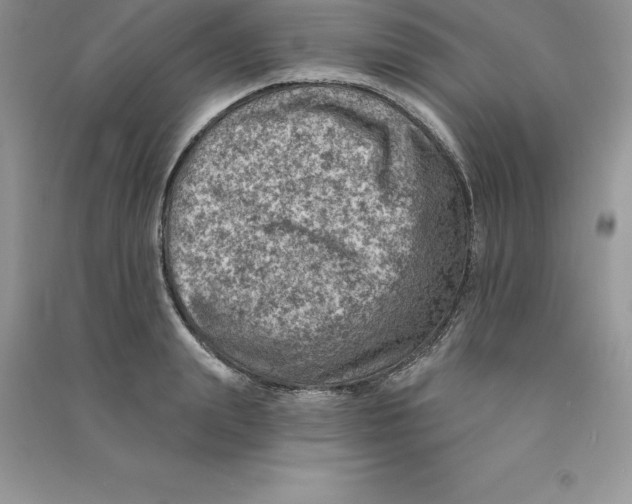 X0000090730847200708171946