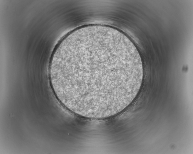 X0000090730848200708171946