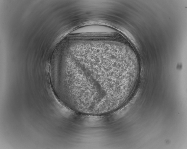 X0000090730849200708171946