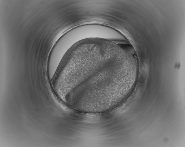 X0000090730850200708171946