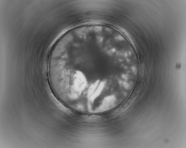 X0000090730851200708171946