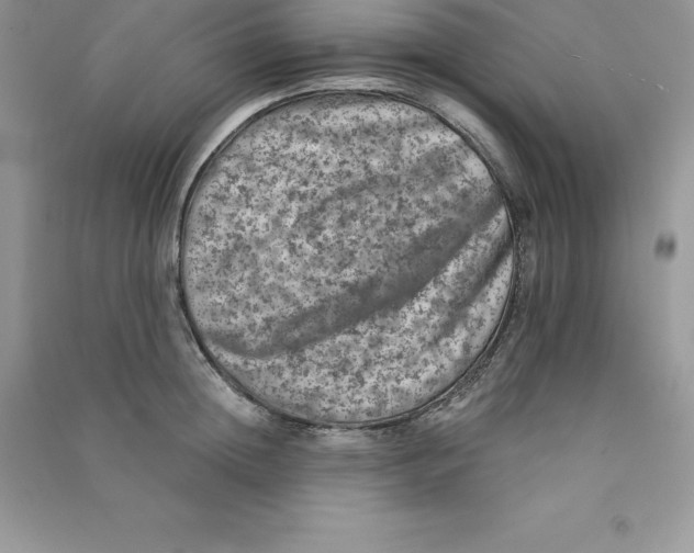 X0000090730852200708171946