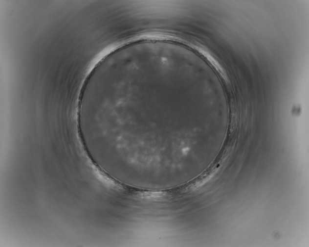 X0000090730853200708171946