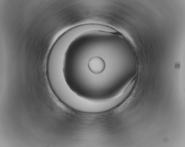 X0000090730854200708171946