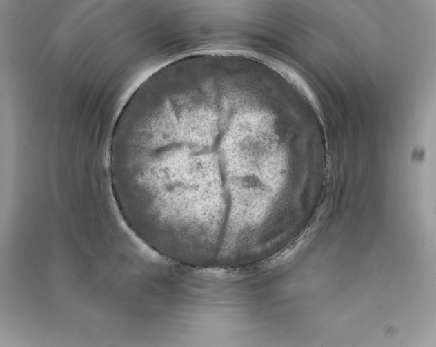 X0000090730855200708171946