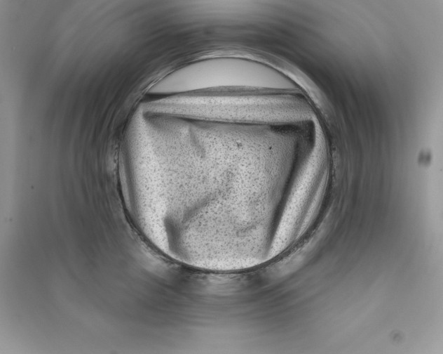 X0000090730857200708171946