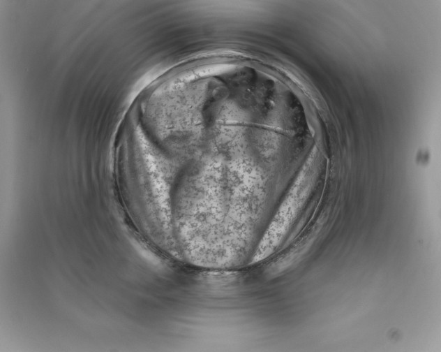 X0000090730858200708171946